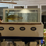 Photo n°3 de l'avis de Christina.e fait le 14/05/2024 à 19:47 sur le  Hotel Corallo à Santa Maria al Bagno