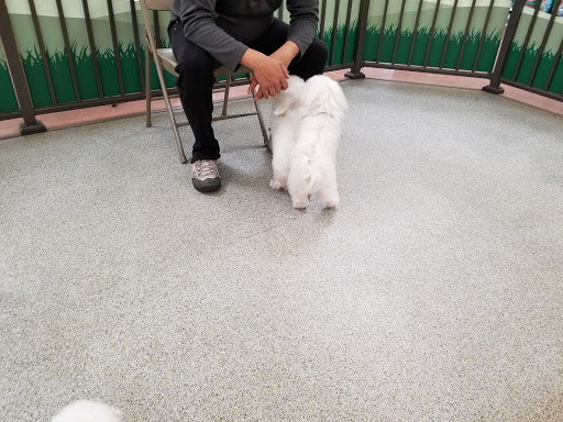 Pet Supply Store «Pet Food Express», reviews and photos, 1902 S Bascom Ave, Campbell, CA 95008, USA