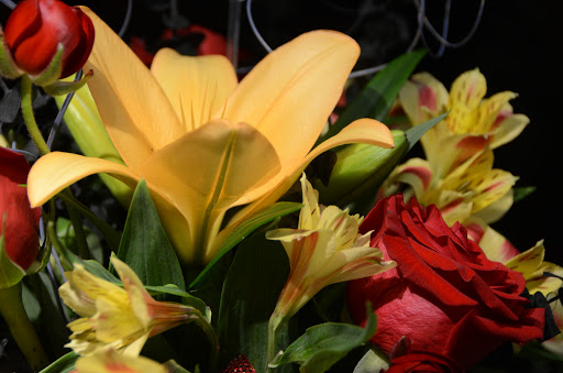 Florist «A New Leaf Flowers and Gifts», reviews and photos, 4106 Monona Dr, Madison, WI 53716, USA