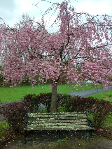 Museum «East Jersey Old Town Village», reviews and photos, 1050 River Rd, Piscataway Township, NJ 08854, USA