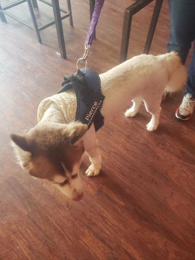 Pet Store «Oak Clips Pet Boutique & Grooming», reviews and photos, 502 N Edgefield Ave, Dallas, TX 75208, USA