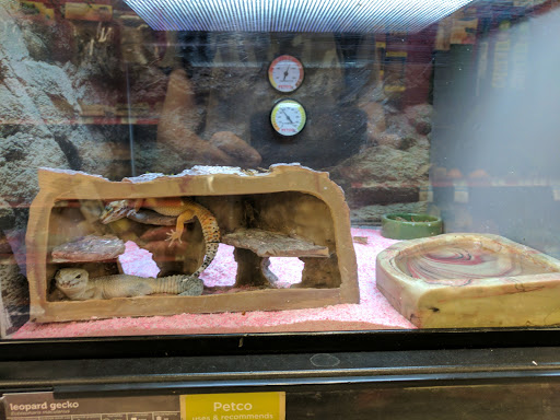 Pet Supply Store «Petco Animal Supplies», reviews and photos, 430 N Euclid St, Anaheim, CA 92801, USA