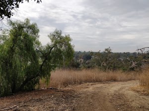 Fullerton Loop - MTB & Hiking Trail - photo 94