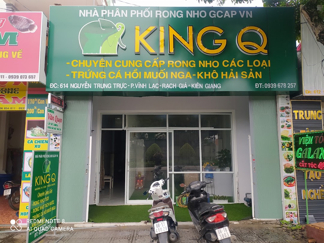 KING Q - NHÀ PHÂN PHỐI RONG NHO GCAP VN