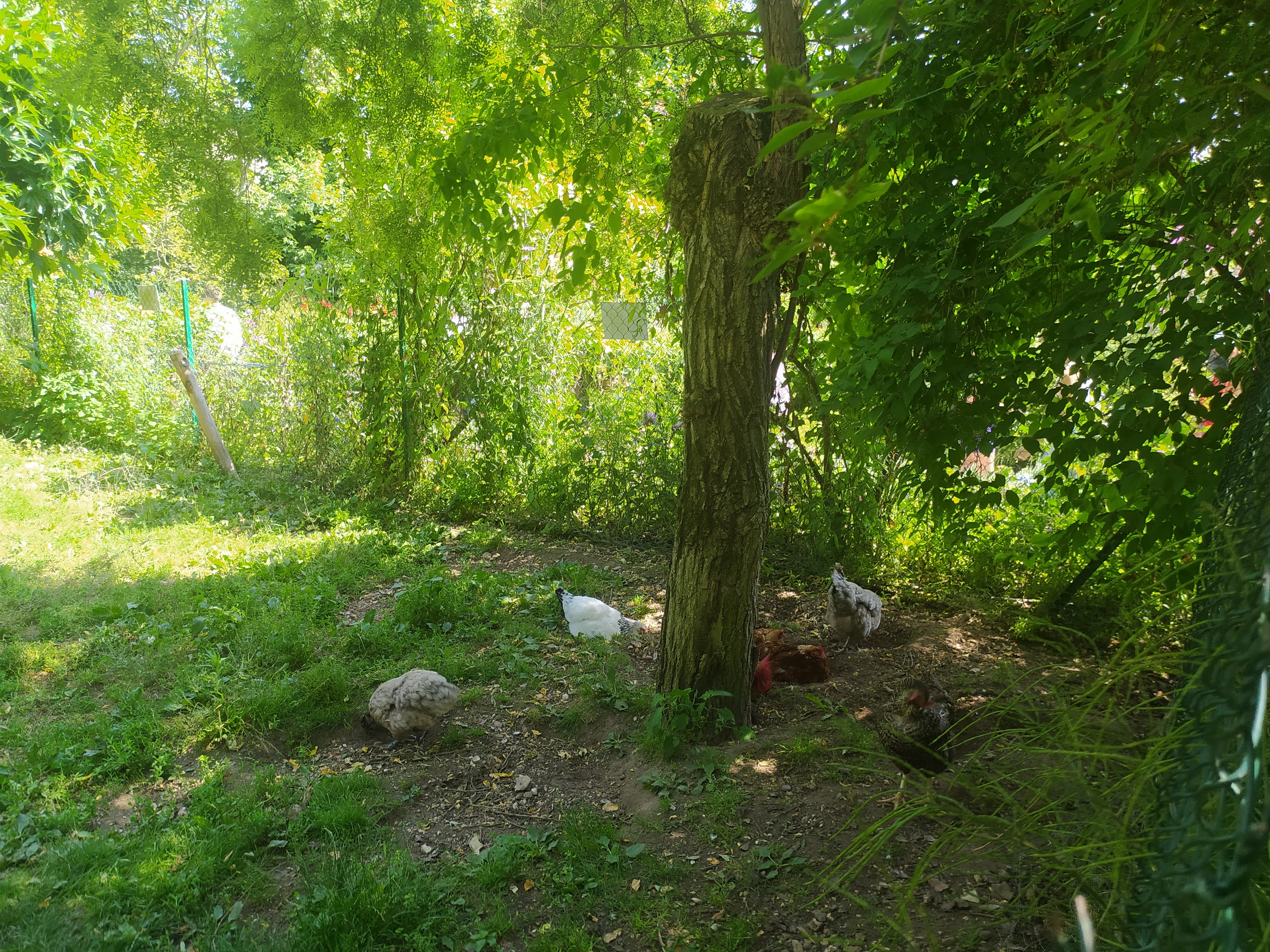 Photo n° 2 de l'avis de Farid.L fait le 21/07/2021 à 21:27