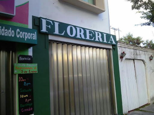 Floreria in Cancun_Zazil