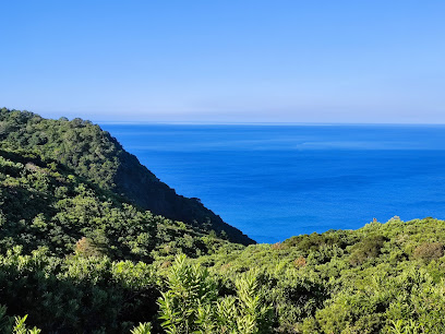 旭海大草原停车场