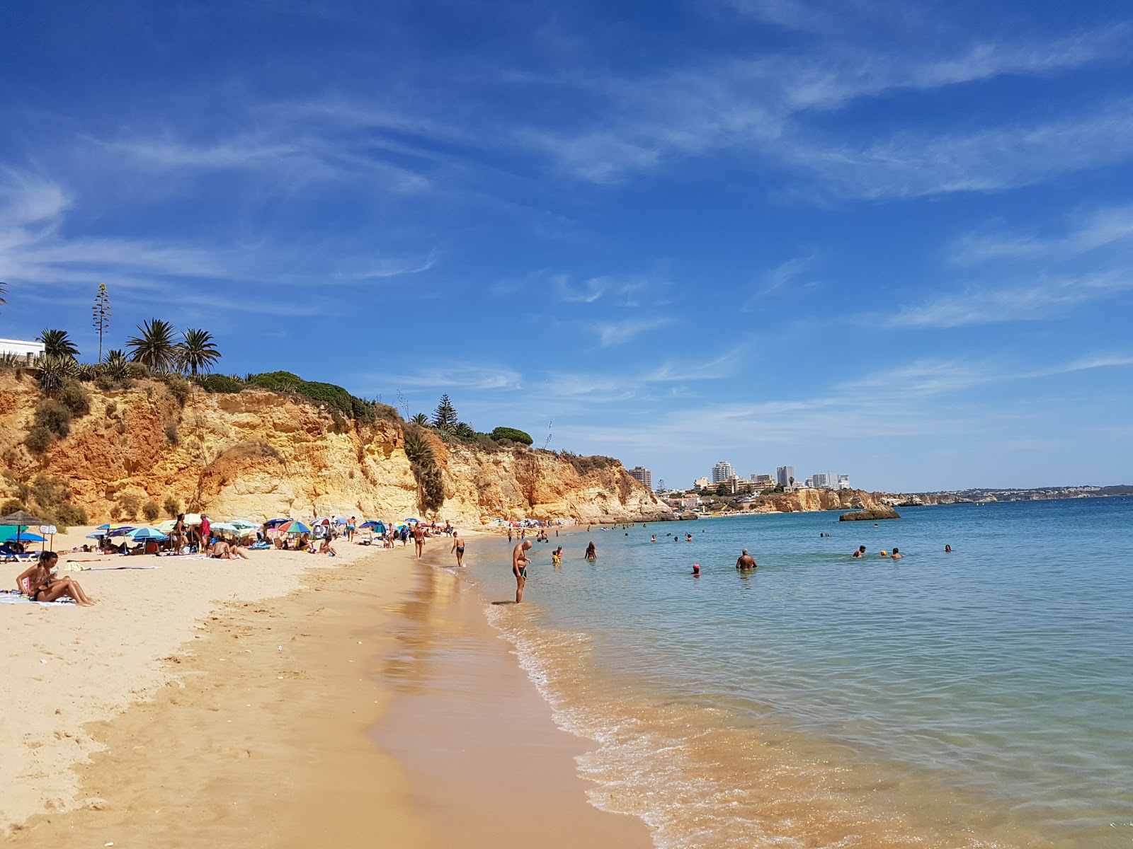 Praia do Alemao的照片 带有宽敞的海岸