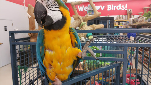 Pet Store «We Love Pets», reviews and photos, 1433 Coshocton Ave, Mt Vernon, OH 43050, USA