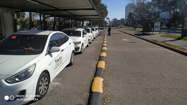 Av. Franklin Delano Roosevelt, 20000 Punta del Este, Departamento de Maldonado, Uruguay