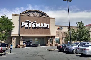 PetSmart image