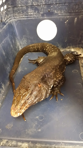 Pet Supply Store «Pet Supermarket», reviews and photos, 2924 13th St, St Cloud, FL 34769, USA