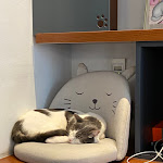 Photo n°8 de l'avis de Annalisa.o fait le 27/11/2021 à 13:32 sur le  Crazy Cat Café à Milan