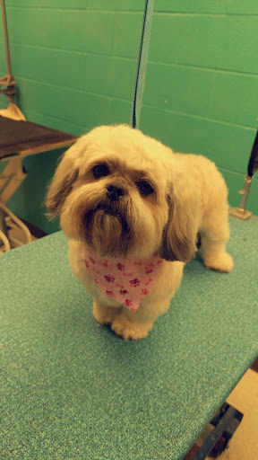 Pet Supply Store «Bubbles2biscuits», reviews and photos, 21897 S Diamond Lake Rd, Rogers, MN 55374, USA