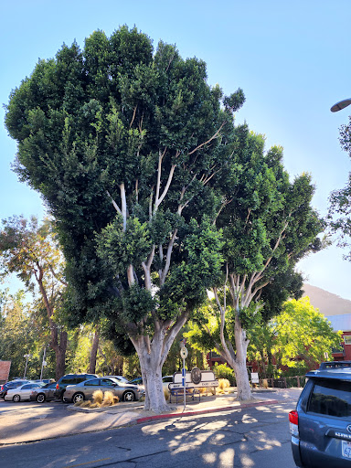 Shopping Mall «The Network Shopping Center», reviews and photos, 778 Higuera St, San Luis Obispo, CA 93401, USA