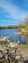 Ställplats Storksöen Ribe