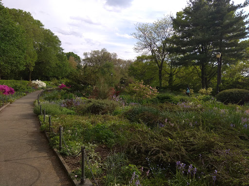 Park «Holcombe Rucker Park», reviews and photos, 280 W 155th St, New York, NY 10039, USA