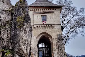 Zamek w Ojcowie image