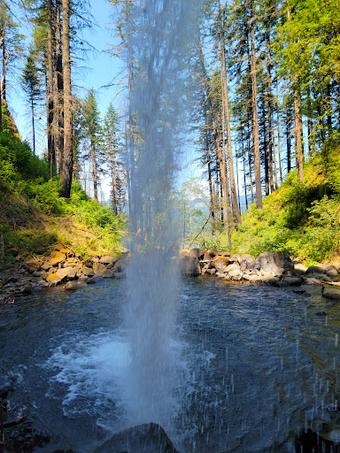 Waterfall «Horsetail Falls», reviews and photos, Historic Columbia River Hwy, Cascade Locks, OR 97014, USA