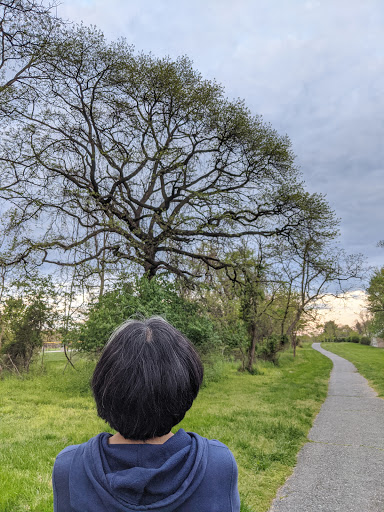 Park «Blandair Regional Park», reviews and photos, 5750 Oakland Mills Rd, Columbia, MD 21045, USA