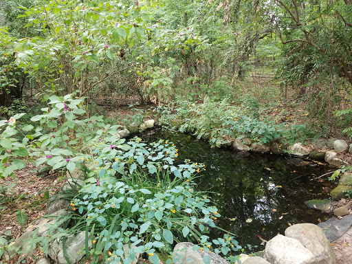 Nature Preserve «Reynolds Nature Preserve», reviews and photos, 5665 Reynolds Rd, Morrow, GA 30260, USA
