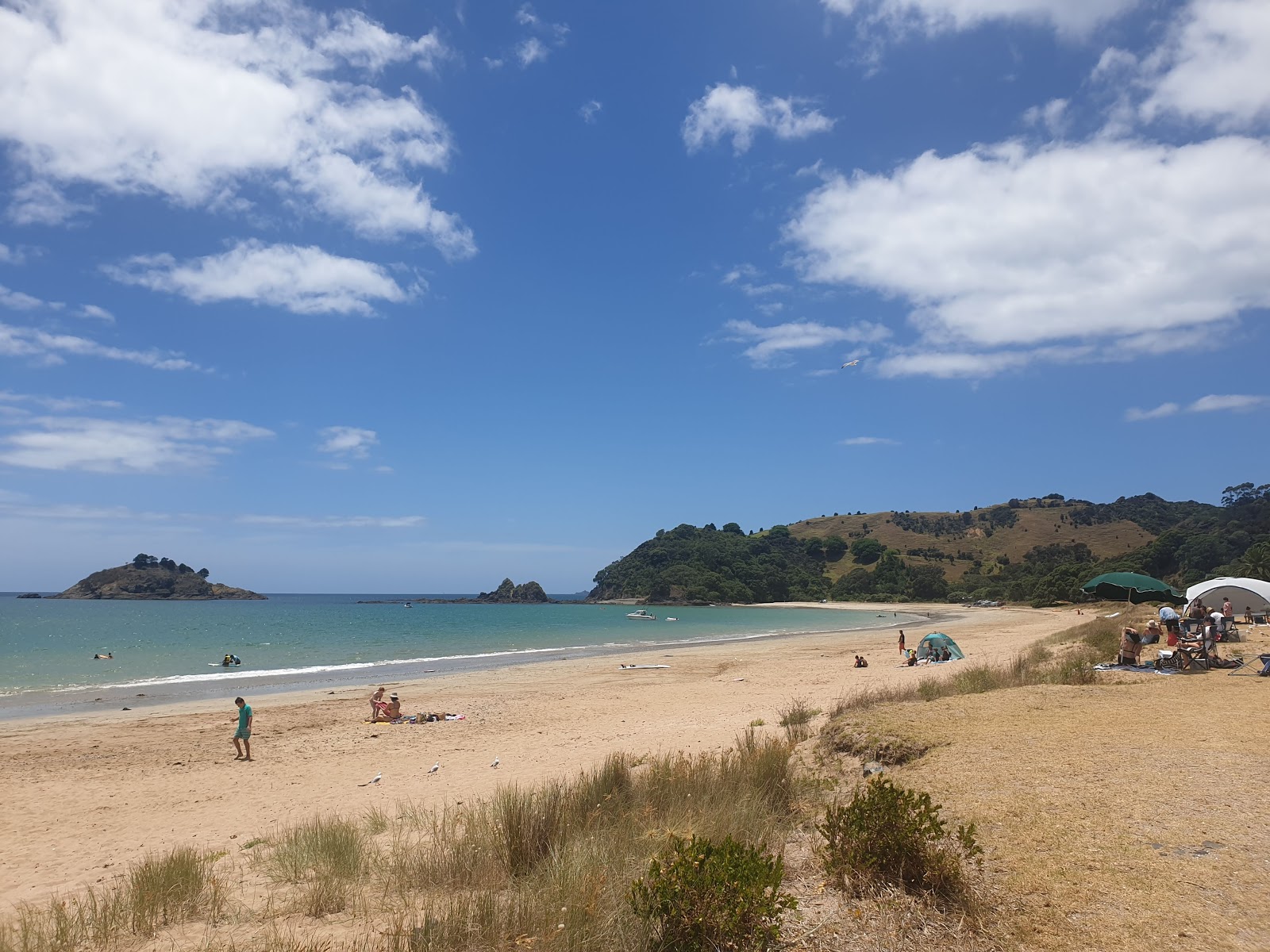 Φωτογραφία του Te Ngaere Bay με φωτεινή άμμος επιφάνεια