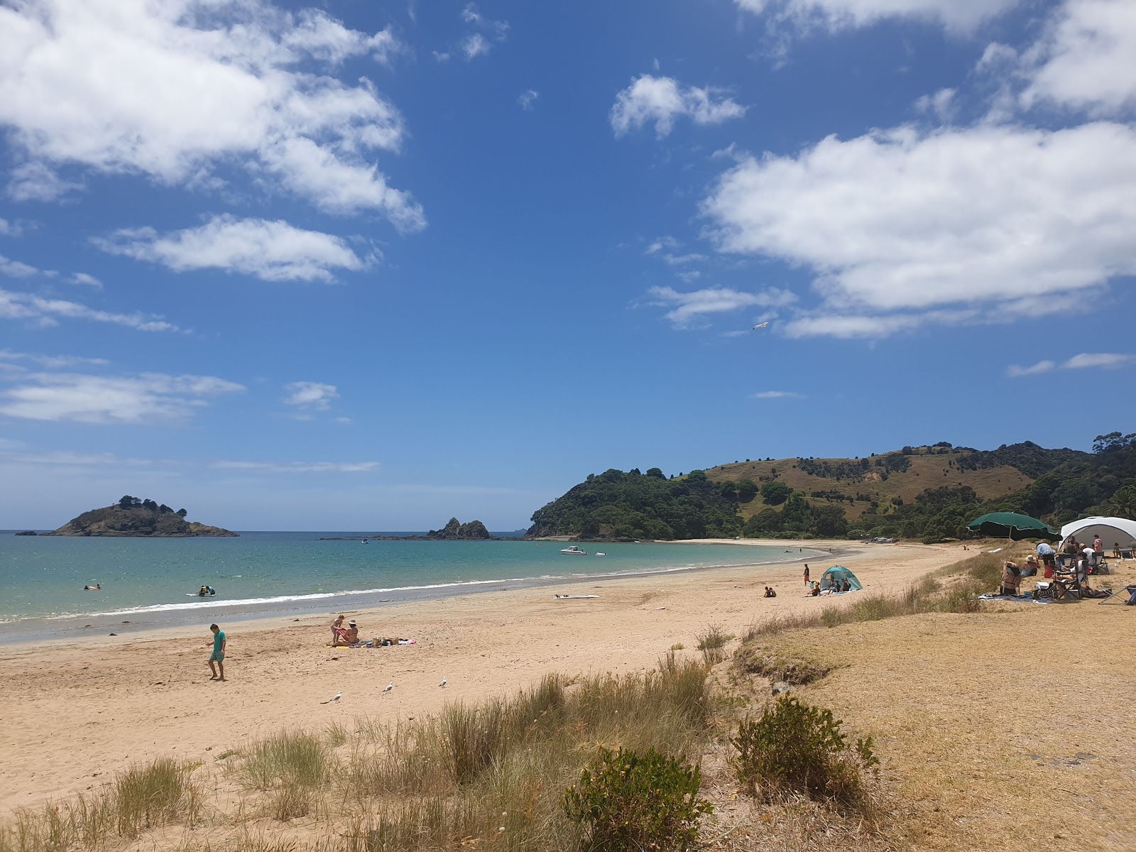 Foto von Te Ngaere Bay mit beiger sand Oberfläche
