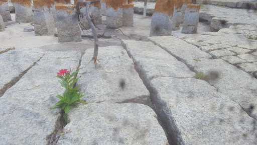 Park «Woodside Urban Park», reviews and photos, 8800 Georgia Ave, Silver Spring, MD 20910, USA