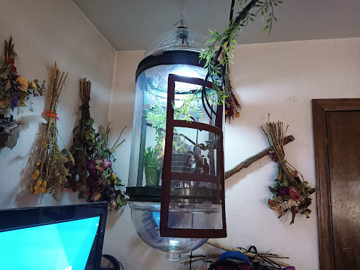 Pet Store «Parker Exotic Pets», reviews and photos, 17880 Cottonwood Dr, Parker, CO 80134, USA