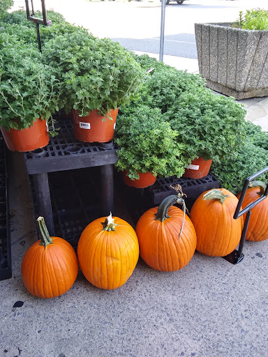 Grocery Store «ACME Markets», reviews and photos, 301 S Main Rd, Vineland, NJ 08360, USA