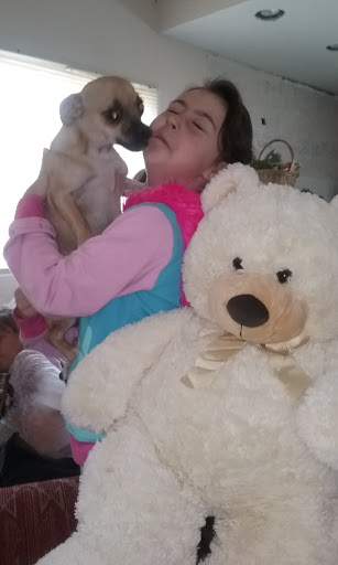 Pet Store «Pet Junction», reviews and photos, 146 NH-108, Dover, NH 03820, USA