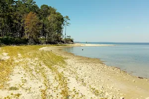 South Toledo Bend State Park image