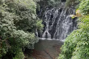 Sanjay Gandhi national park yeor image