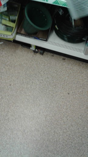 Dollar Store «Dollar Tree», reviews and photos, 148 Smith St, Perth Amboy, NJ 08861, USA