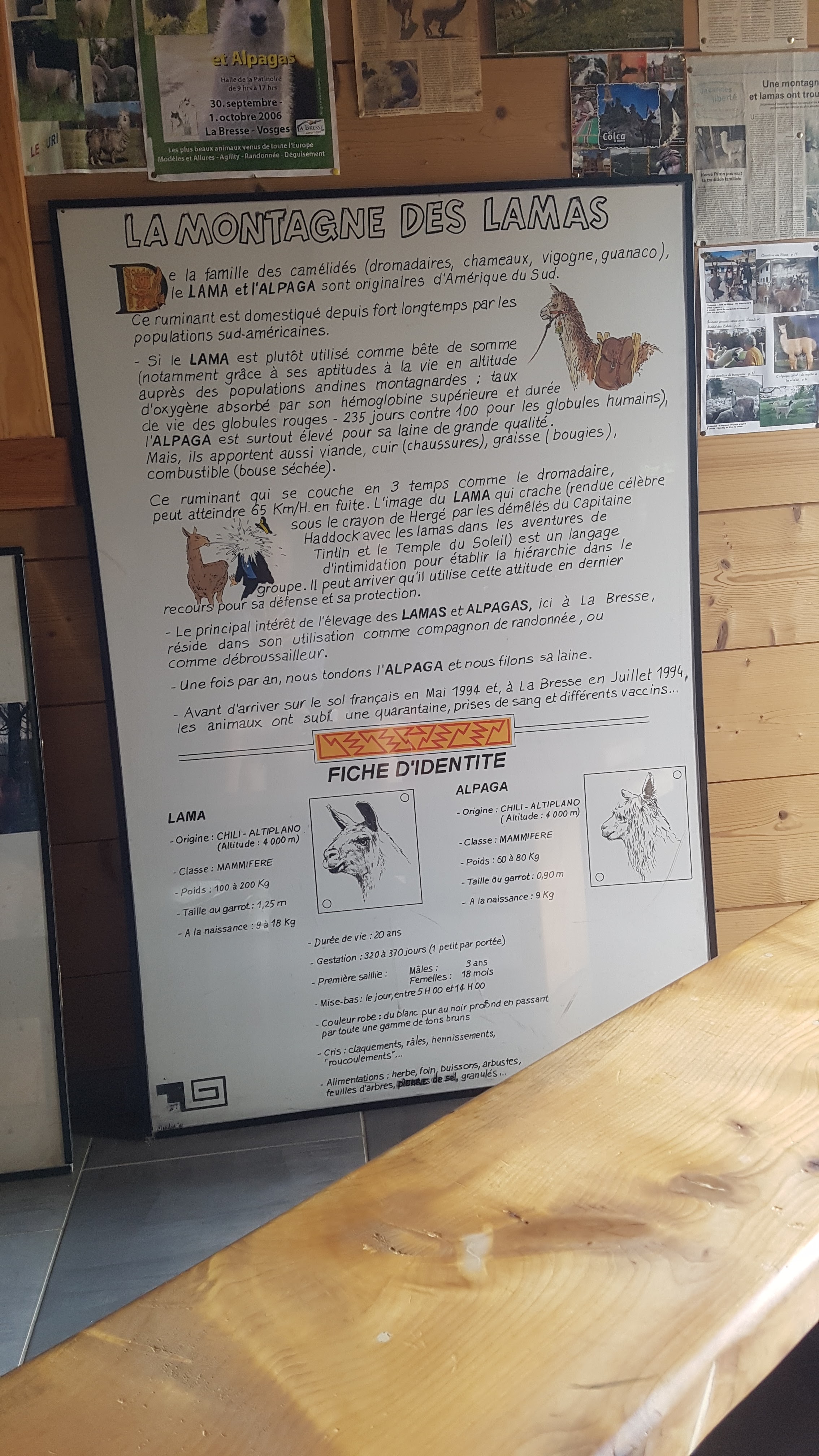 Photo n° 7 de l'avis de melanie_et.c fait le 13/08/2019 à 14:59