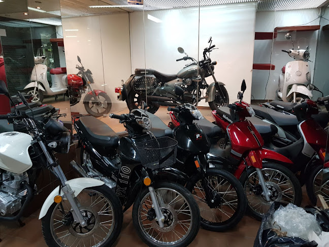 Moped Motos - Tienda
