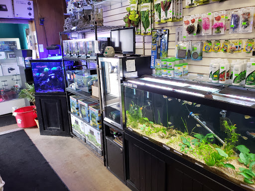 Pet Store «Animal Attraction», reviews and photos, 2518 11th Ave, Greeley, CO 80631, USA