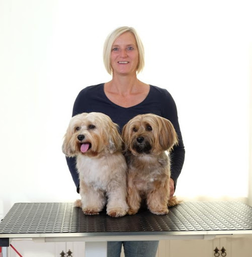 Hundefriseur 