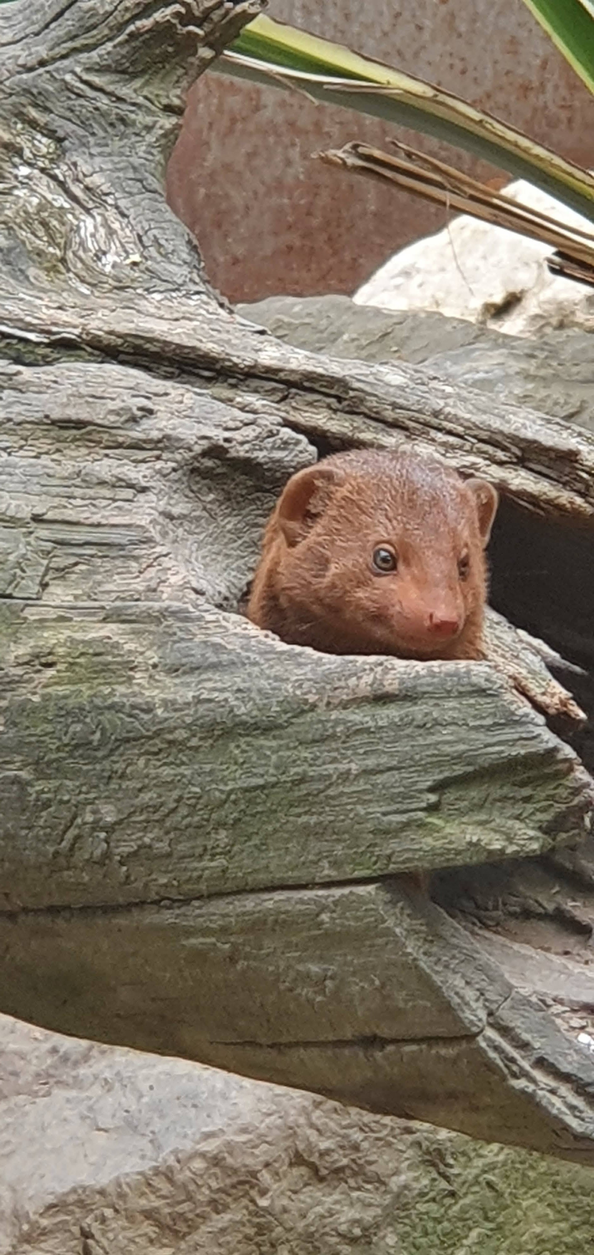 Photo n° 5 de l'avis de Beatrice.o fait le 20/08/2022 à 07:43