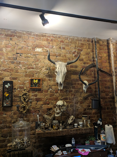 Tattoo Shop «Triple Diamond Tattoo», reviews and photos, 257 3rd Ave, Brooklyn, NY 11215, USA