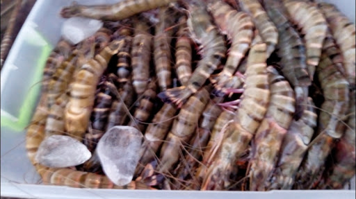 Mynaijaseafoods, First avenue, agip estate 149, Port Harcourt, Nigeria, Market, state Rivers