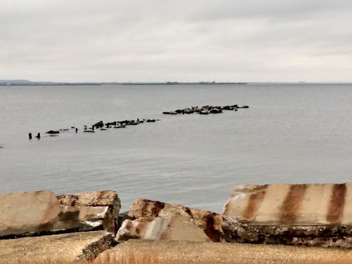 National Park «Gateway National Recreation Area», reviews and photos, 26 Hudson Rd, Highlands, NJ 07732, USA