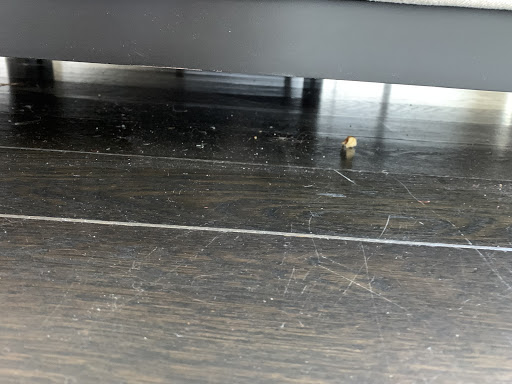 House Cleaning Service «Fresh Tech Maid», reviews and photos, 1532 W Fullerton Ave #1, Chicago, IL 60614, USA