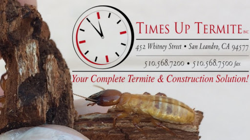 Times Up Termite