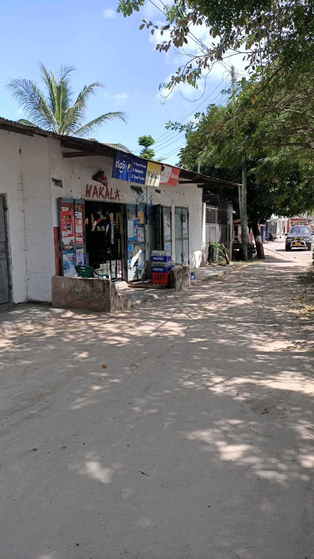 Mama Msangi Shop