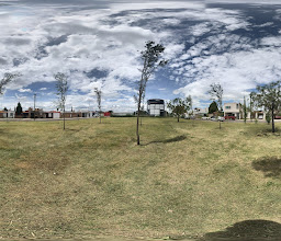 Flor de Llamarada Garden photo