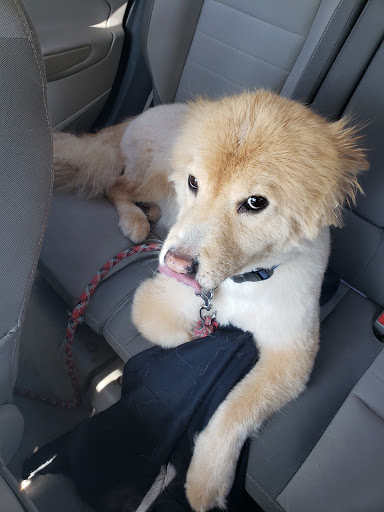 Pet Supply Store «PetSmart», reviews and photos, 745 W Huntington Dr, Monrovia, CA 91016, USA