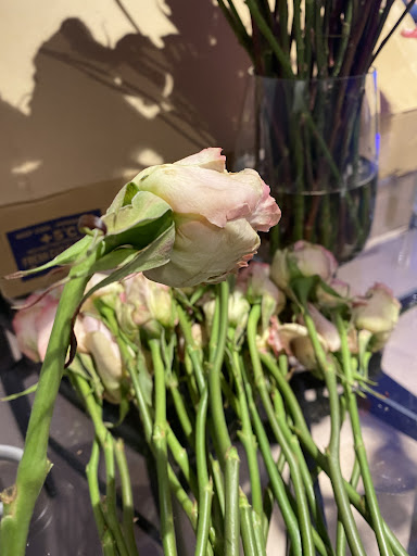 Wholesale Florist «Pennock Floral Tri - State Co», reviews and photos, 7135 Colonial Ln, Pennsauken Township, NJ 08109, USA