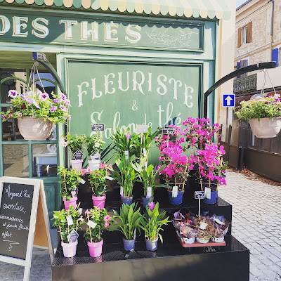 Aux fleurs des thés à Saint-Paul-Trois-Châteaux
