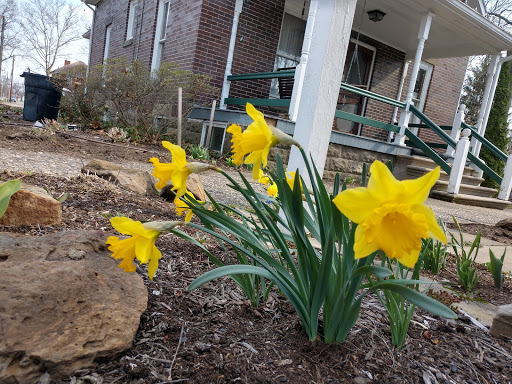 Museum «Warther Museum & Gardens», reviews and photos, 331 Karl Ave, Dover, OH 44622, USA